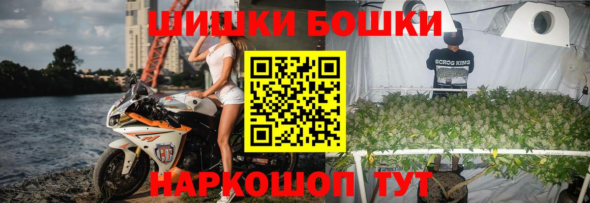 Бошки Шишки план Кропоткин